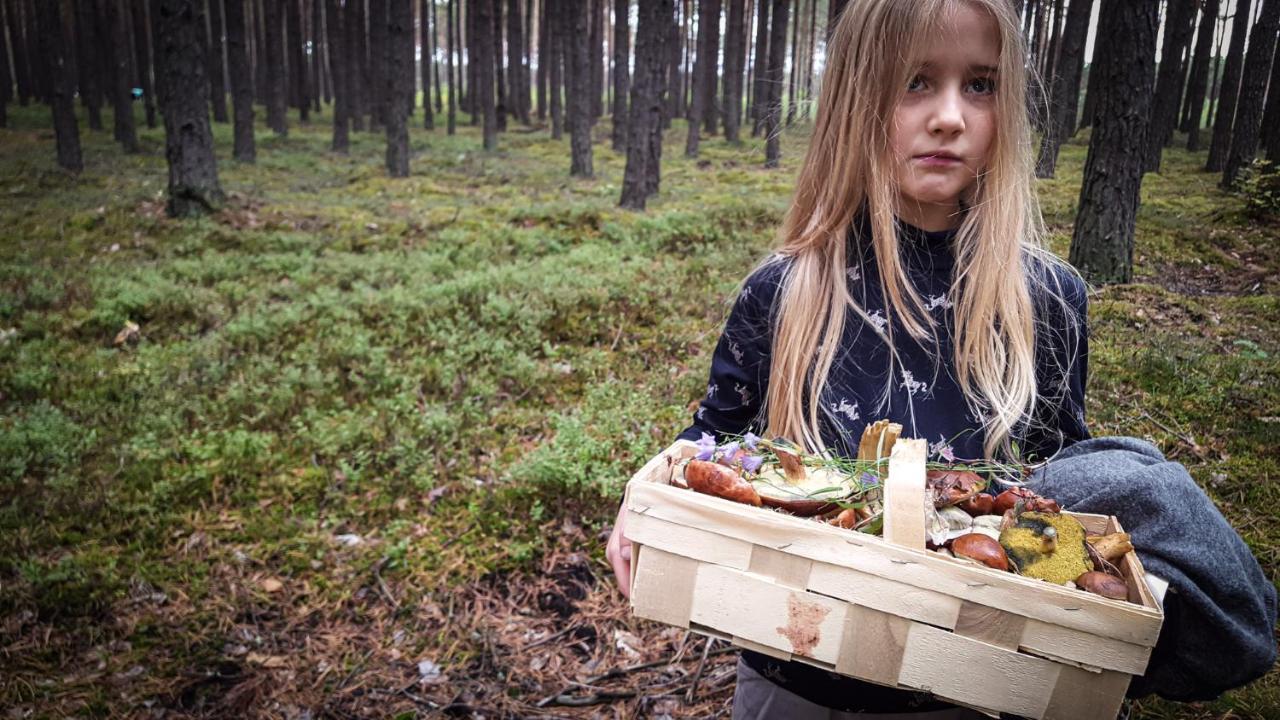Urzeka Hotell Drzewce  Eksteriør bilde